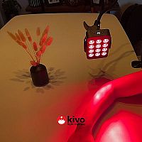 Kivo Mini image